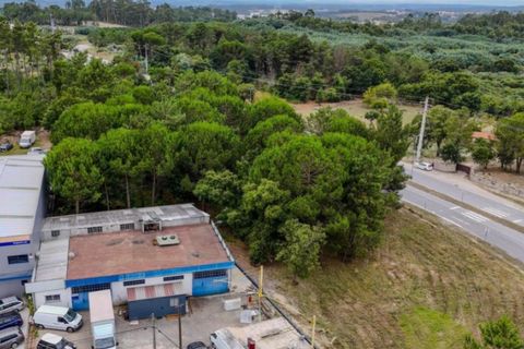 Terra a Nelas, Viseu, Nelas - € 139.000 | Ref: KWPT-027857 - foto 16