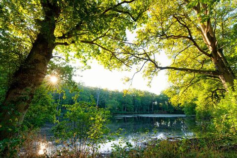 Helårsgrund i Orgerus, Yvelines, Orgerus - € 143.000 | Ref: PG020347-_03 - foto 2