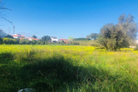 Helårsgrund i Tunes, Faro, Tunes - € 990.000 | Ref: 7006 - foto 4