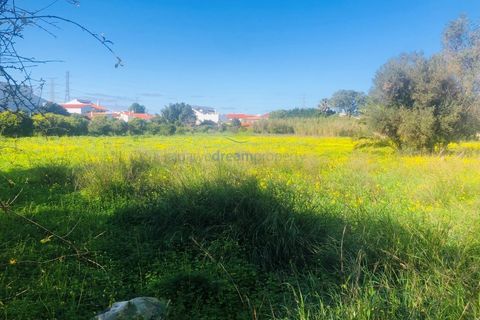 Helårsgrund i Tunes, Faro, Tunes - € 990.000 | Ref: 7006 - foto 5