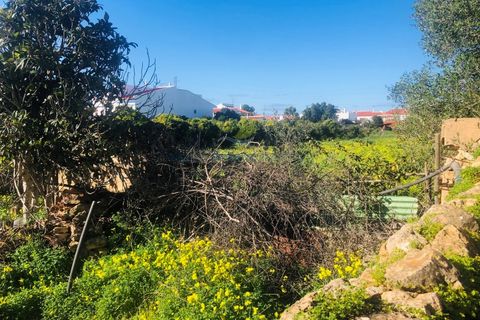 Helårsgrund i Tunes, Faro, Tunes - € 990.000 | Ref: 7006 - foto 6