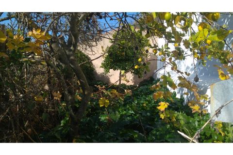 Landejendom i Alte, Faro, Alte - € 110.000 | Ref: MO12748 - foto 2