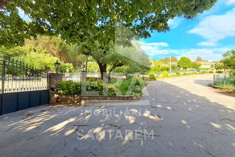 Farm i Minde, Santarem, Minde - € 1.850.000 | Ref: 11850 - foto 10