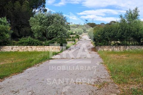 Farm i Minde, Santarem, Minde - € 1.850.000 | Ref: 11850 - foto 12