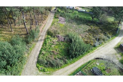 Helårsgrund i Venade e Azevedo, Viana do Castelo, Venade e Azevedo - € 75.000 | Ref: 2772 - foto 4