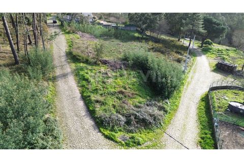 Helårsgrund i Venade e Azevedo, Viana do Castelo, Venade e Azevedo - € 75.000 | Ref: 2772 - foto 5