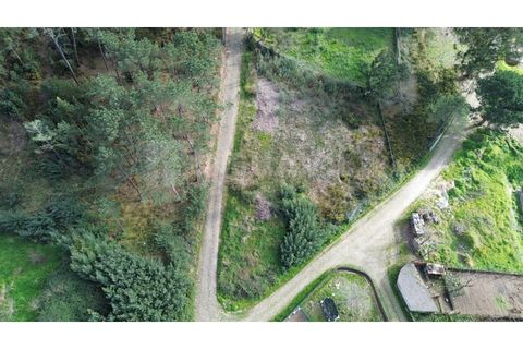 Helårsgrund i Venade e Azevedo, Viana do Castelo, Venade e Azevedo - € 75.000 | Ref: 2772 - foto 6