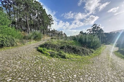 Helårsgrund i Venade e Azevedo, Viana do Castelo, Venade e Azevedo - € 75.000 | Ref: 2772 - foto 7