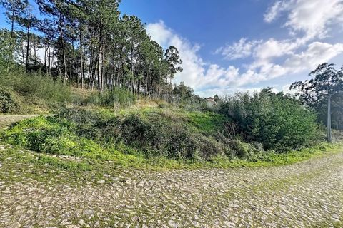 Helårsgrund i Venade e Azevedo, Viana do Castelo, Venade e Azevedo - € 75.000 | Ref: 2772 - foto 8