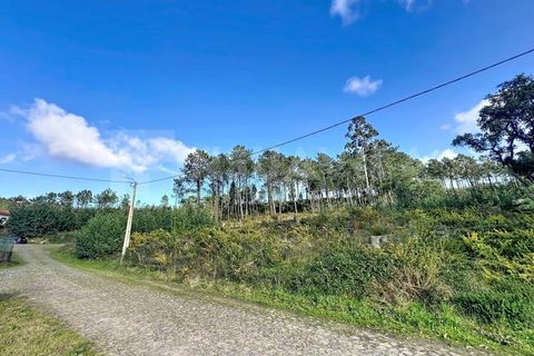 Helårsgrund i Venade e Azevedo, Viana do Castelo, Venade e Azevedo - € 75.000 | Ref: 2772 - foto 9
