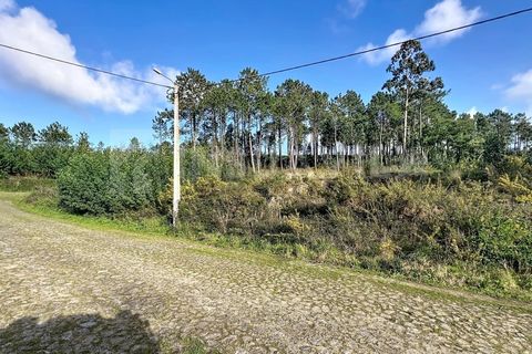Helårsgrund i Venade e Azevedo, Viana do Castelo, Venade e Azevedo - € 75.000 | Ref: 2772 - foto 10