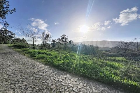 Helårsgrund i Venade e Azevedo, Viana do Castelo, Venade e Azevedo - € 75.000 | Ref: 2772 - foto 12