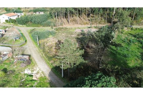Helårsgrund i Venade e Azevedo, Viana do Castelo, Venade e Azevedo - € 75.000 | Ref: 2772 - foto 13