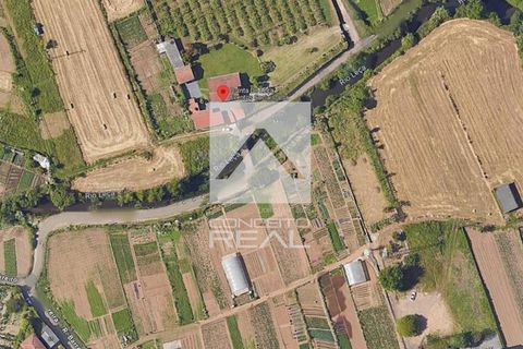 Helårsgrund i Valongo, Porto, Valongo - € 45.000 | Ref: CR2163 - foto 4