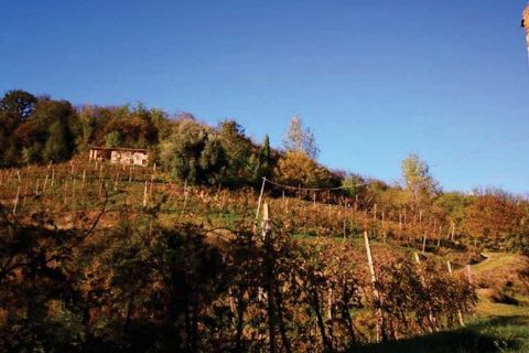 Helårsgrund i Refrontolo, Treviso, Refrontolo - € 219.450 | Ref: A.A. 425-222 - foto 3