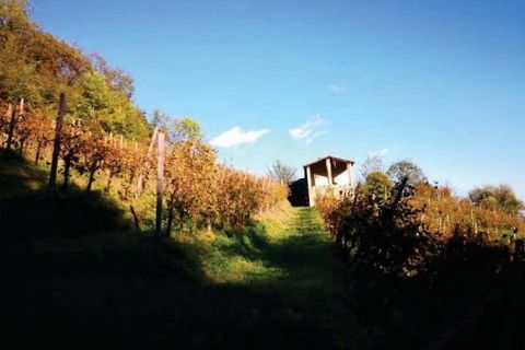 Helårsgrund i Refrontolo, Treviso, Refrontolo - € 219.450 | Ref: A.A. 425-222 - foto 4