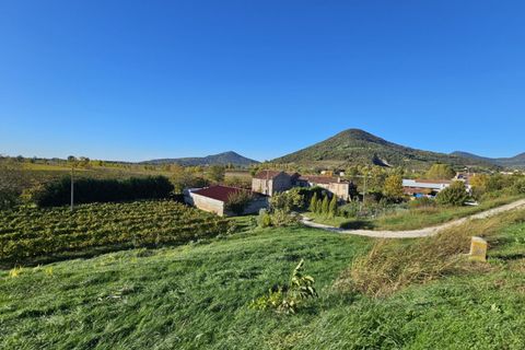 Terra a Cinto Euganeo, Padua, Cinto Euganeo - € 75.000 | Ref: TER 301 - foto 2