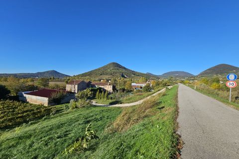 Terra a Cinto Euganeo, Padua, Cinto Euganeo - € 75.000 | Ref: TER 301 - foto 3