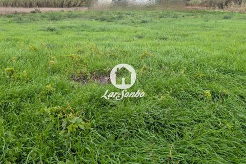 Helårsgrund i Vila do Conde, Porto, Vila do Conde - € 250.000 | Ref: 240-T-26109 - foto 10