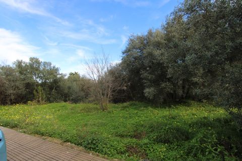 Helårsgrund i Orba, Alicante, Orba - € 180.000 | Ref: 001826 - foto 4