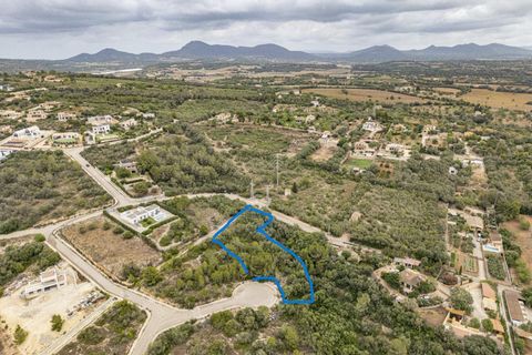 Helårsgrund i Manacor, Mallorca, Manacor - € 195.000 | Ref: 15TMRK032/3010 - foto 1