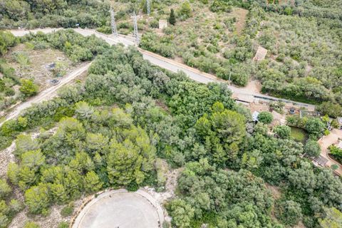 Helårsgrund i Manacor, Mallorca, Manacor - € 195.000 | Ref: 15TMRK032/3010 - foto 4