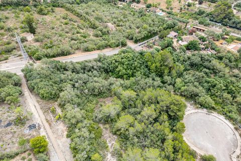 Helårsgrund i Manacor, Mallorca, Manacor - € 195.000 | Ref: 15TMRK032/3010 - foto 5