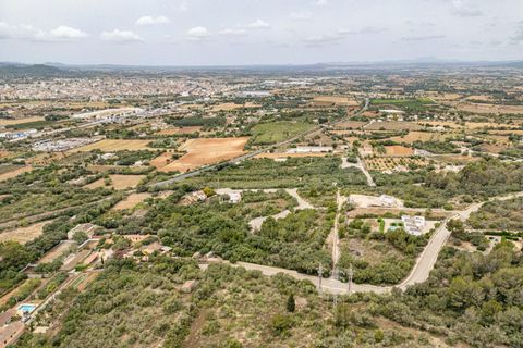 Helårsgrund i Manacor, Mallorca, Manacor - € 195.000 | Ref: 15TMRK032/3010 - foto 10