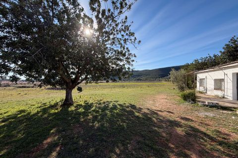 Helårsgrund i Chiva, Valencia, Chiva - € 105.300 | Ref: e2899e7b-0200-4d5b-9 - foto 4