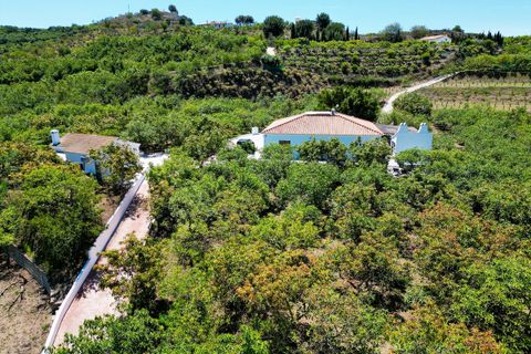 Cortijo i Velez Malaga, Malaga, Velez Malaga - € 1.150.000 | Ref: R5305204 - foto 2