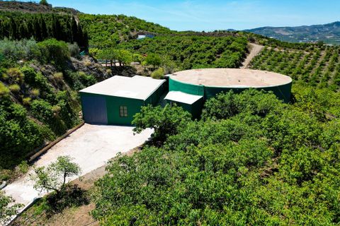 Cortijo i Velez Malaga, Malaga, Velez Malaga - € 1.150.000 | Ref: R5305204 - foto 35