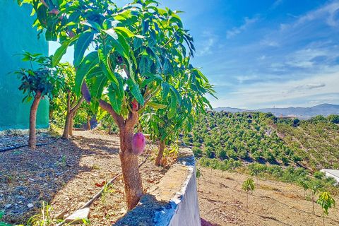 Cortijo i Velez Malaga, Malaga, Velez Malaga - € 1.150.000 | Ref: R5305204 - foto 37