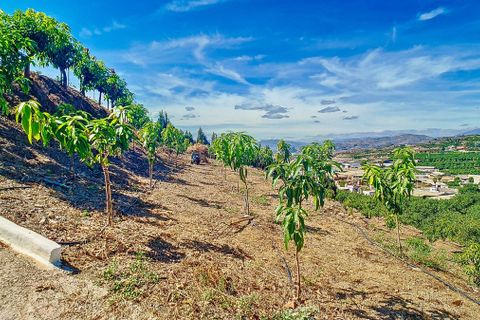 Cortijo i Velez Malaga, Malaga, Velez Malaga - € 1.150.000 | Ref: R5305204 - foto 38