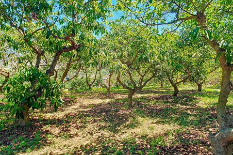 Cortijo i Velez Malaga, Malaga, Velez Malaga - € 1.150.000 | Ref: R5305204 - foto 40