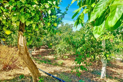 Cortijo i Velez Malaga, Malaga, Velez Malaga - € 1.150.000 | Ref: R5305204 - foto 41