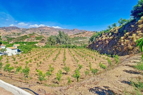 Cortijo i Velez Malaga, Malaga, Velez Malaga - € 1.150.000 | Ref: R5305204 - foto 44