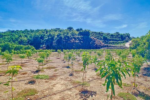 Cortijo i Velez Malaga, Malaga, Velez Malaga - € 1.150.000 | Ref: R5305204 - foto 45