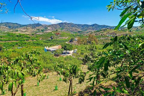 Cortijo i Velez Malaga, Malaga, Velez Malaga - € 1.150.000 | Ref: R5305204 - foto 46