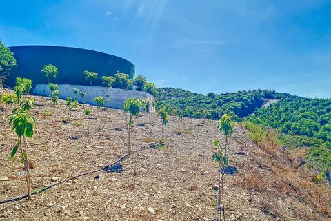 Cortijo i Velez Malaga, Malaga, Velez Malaga - € 1.150.000 | Ref: R5305204 - foto 47