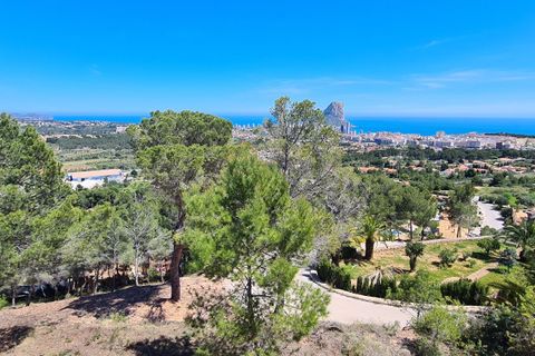 Terra a Calpe, Alicante, Calpe - € 1.345.000 | Ref: MocadiC-0017/9775 - foto 3