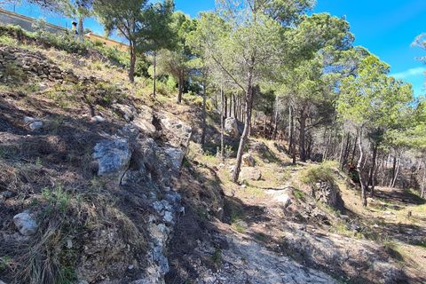 Terra a Calpe, Alicante, Calpe - € 1.345.000 | Ref: MocadiC-0017/9775 - foto 9