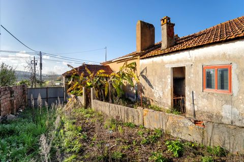 Villa i Alcobaca, Leiria, Alcobaca - € 165.000 | Ref: 222250188 - foto 19