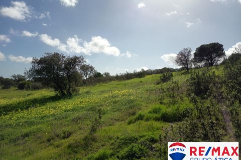 Tomt i Villablanca, Huelva - foto 3