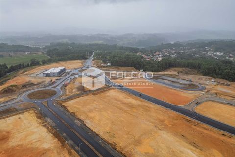 Terra a Moncao, Viana do Castelo, Moncao - € 365.000 | Ref: FR985 - foto 19