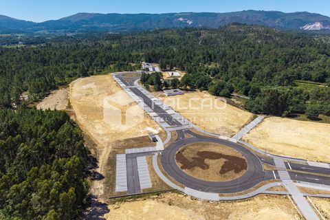 Terra a Moncao, Viana do Castelo, Moncao - € 515.000 | Ref: FR998 - foto 5