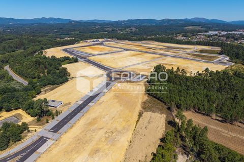 Terra a Moncao, Viana do Castelo, Moncao - € 515.000 | Ref: FR998 - foto 11