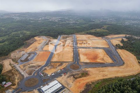 Terra a Moncao, Viana do Castelo, Moncao - € 1.245.000 | Ref: FR1000 - foto 5