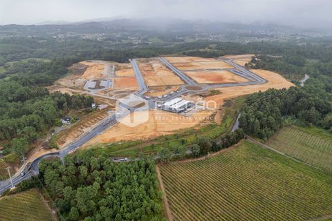 Terra a Moncao, Viana do Castelo, Moncao - € 405.000 | Ref: FR1062 - foto 4