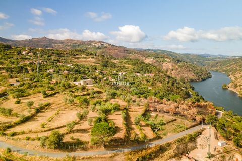 Helårsgrund i Resende, Viseu, Resende - € 260.000 | Ref: ITH4062 - foto 15