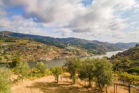 Helårsgrund i Resende, Viseu, Resende - € 260.000 | Ref: ITH4062 - foto 18
